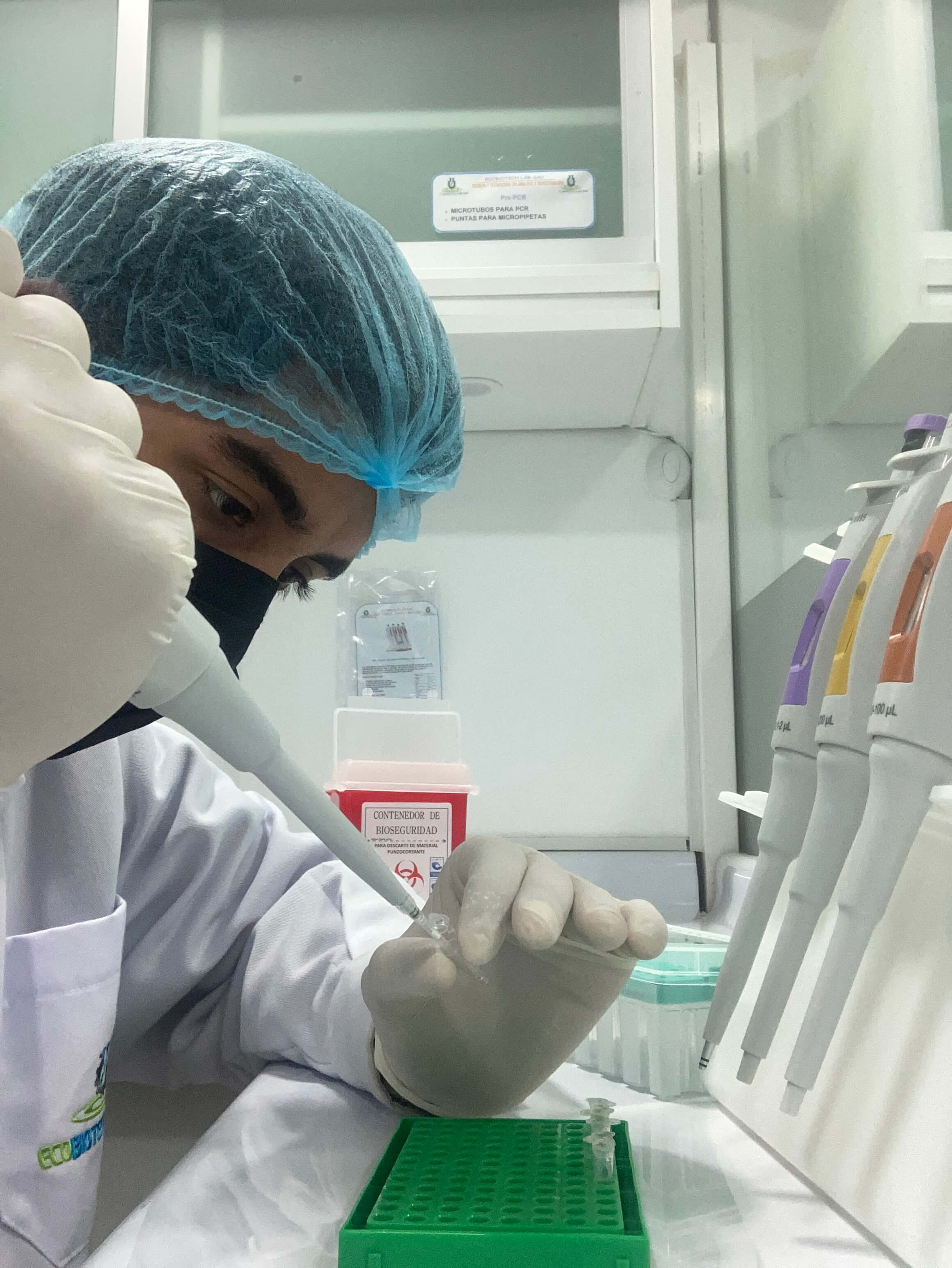 PCR para detección de Anaplasma sp. en sangre