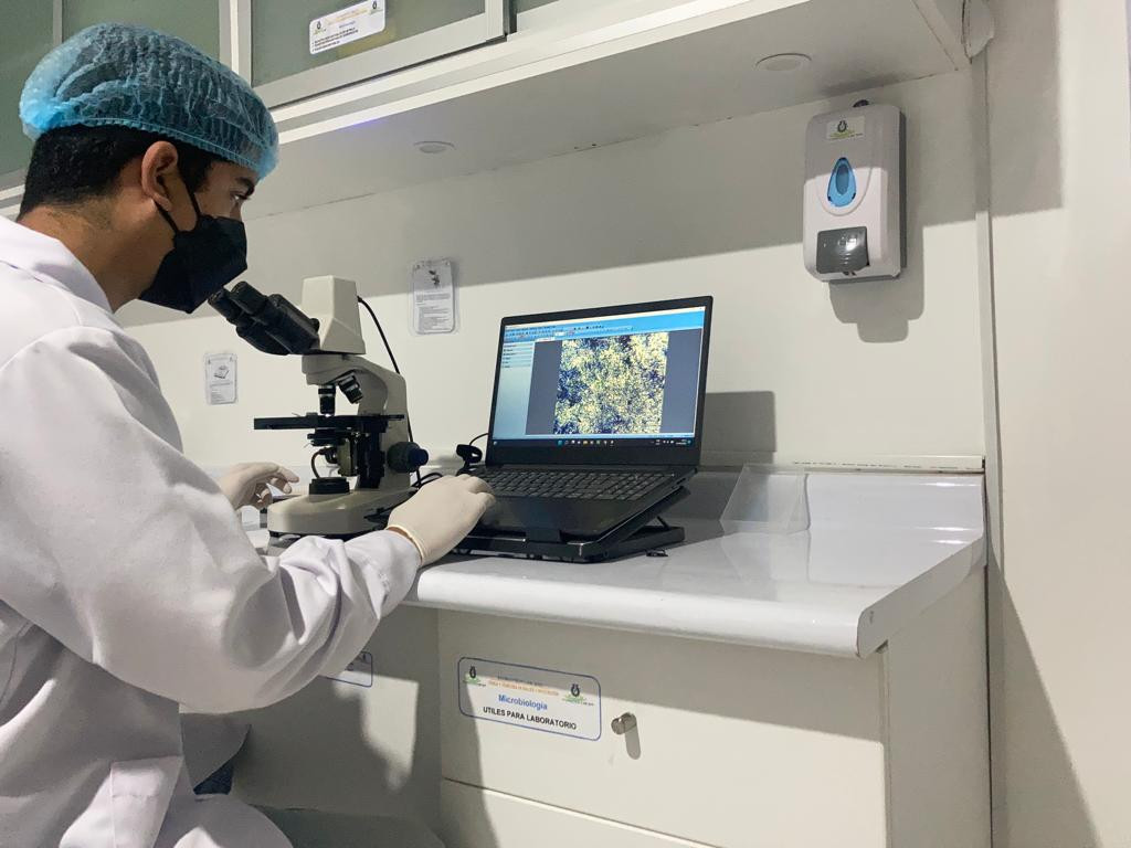 Hematocrito