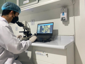 Hematocrito