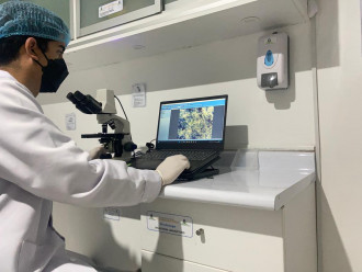 Urocultivo